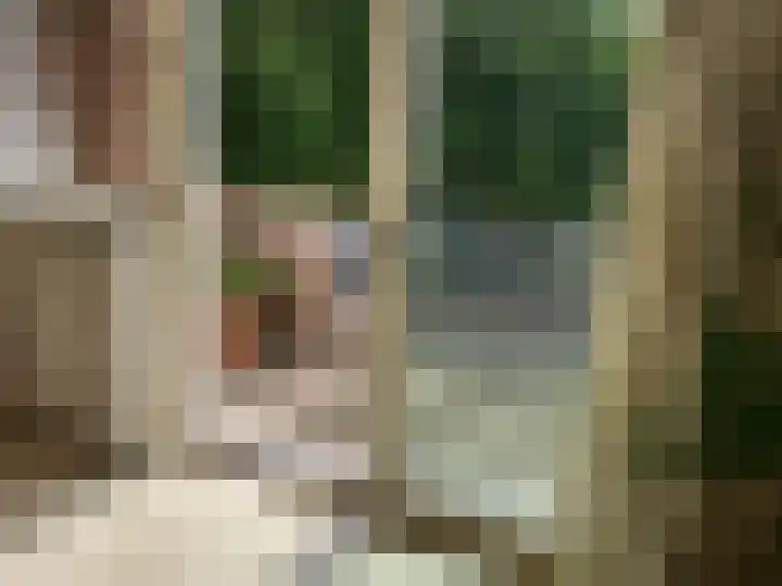 Van Limburg Stirumlaan 32 Hillegom thumbnail 13