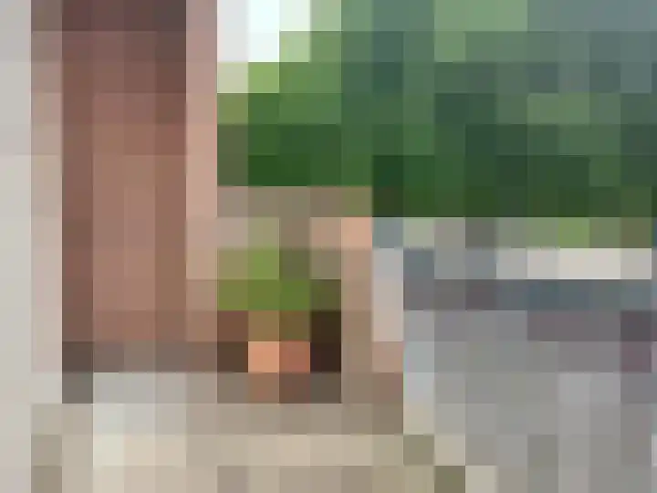 Van Limburg Stirumlaan 32 Hillegom thumbnail 14