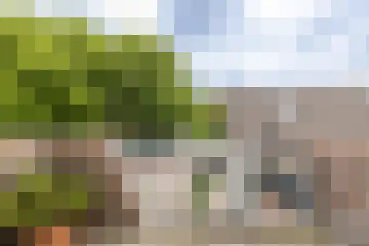 Van Limburg Stirumlaan 32 Hillegom thumbnail 15