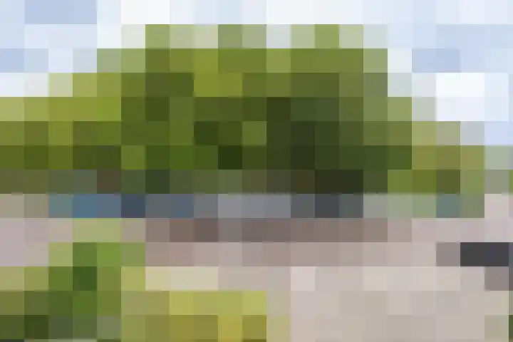 Van Limburg Stirumlaan 32 Hillegom thumbnail 35