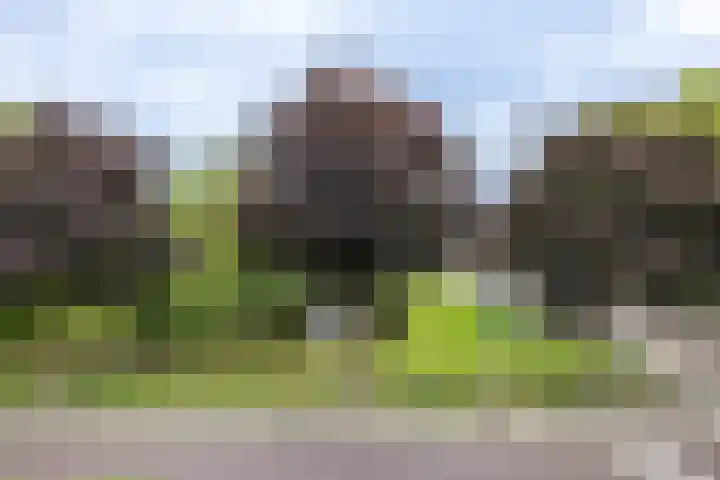 Van Limburg Stirumlaan 32 Hillegom thumbnail 36