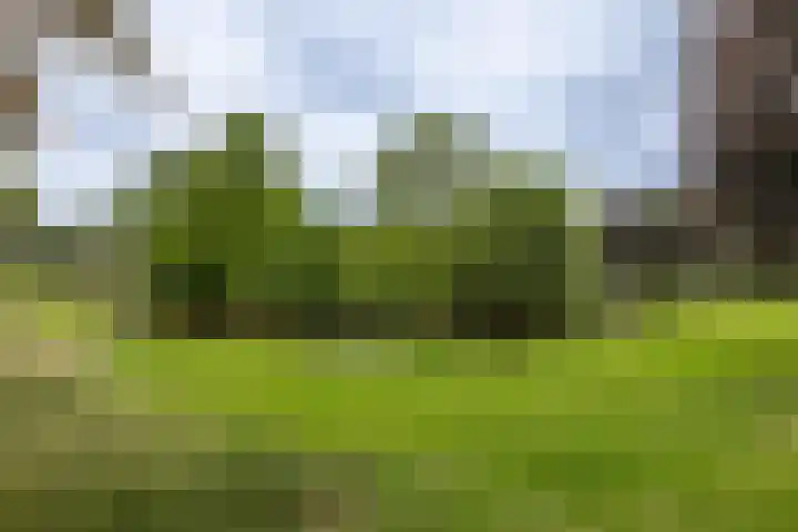 Van Limburg Stirumlaan 32 Hillegom thumbnail 37