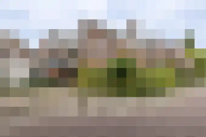 Van Limburg Stirumlaan 32 Hillegom thumbnail 5