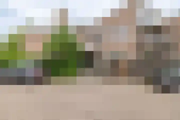 Van Limburg Stirumlaan 32 Hillegom thumbnail 6