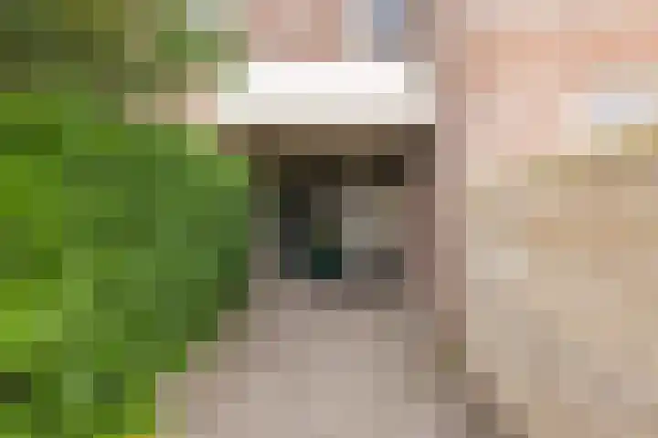 Van Limburg Stirumlaan 32 Hillegom thumbnail 7