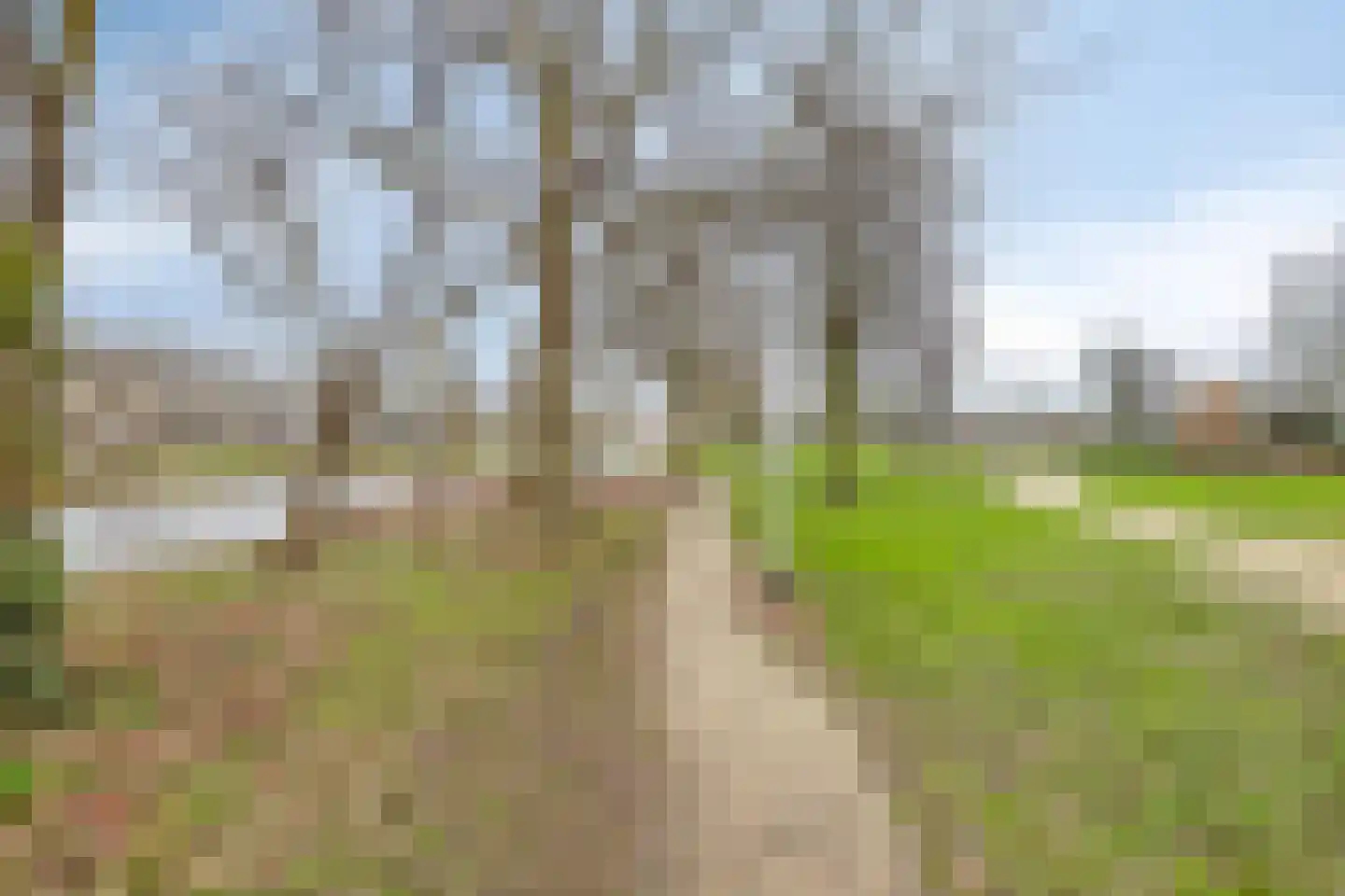 Van Limburg Stirumlaan 36 A Hillegom thumbnail 22
