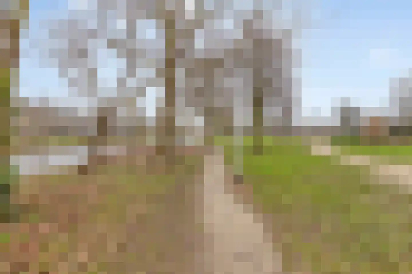 Van Limburg Stirumlaan 36 B Hillegom thumbnail 26