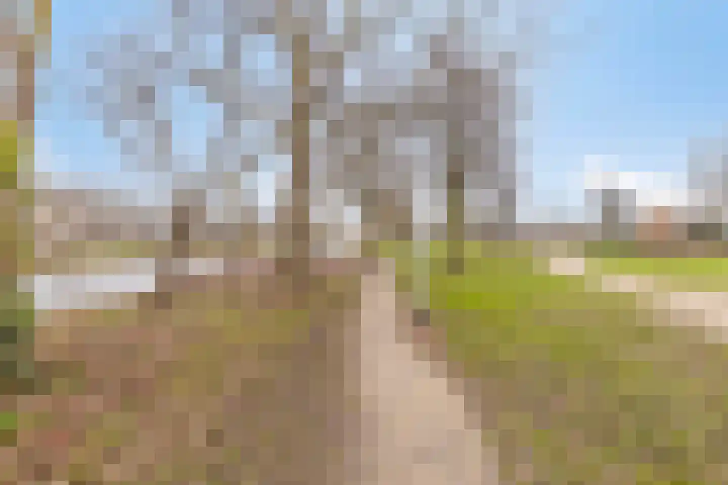 Van Limburg Stirumlaan 36 C Hillegom thumbnail 23