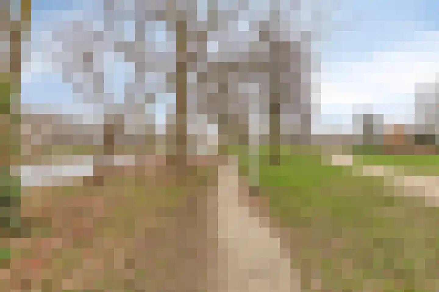 Van Limburg Stirumlaan 36 Hillegom thumbnail 26