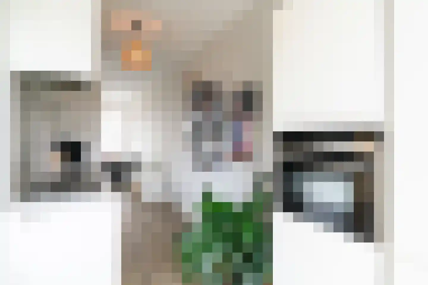 Van Limburg Stirumlaan 4 Barneveld thumbnail 14