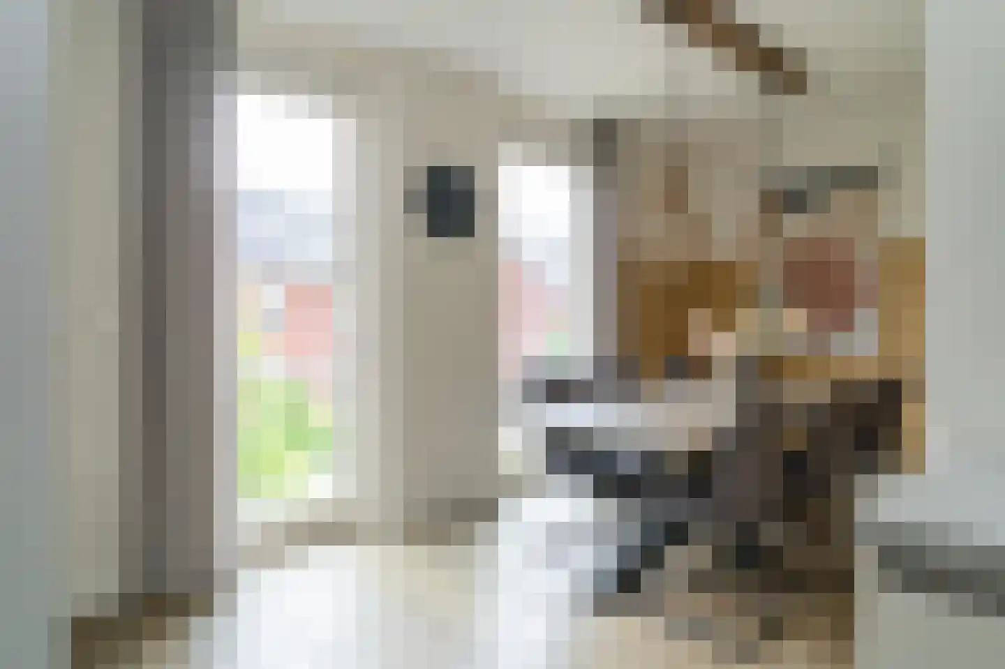 Van Limburg Stirumlaan 4 Barneveld thumbnail 15