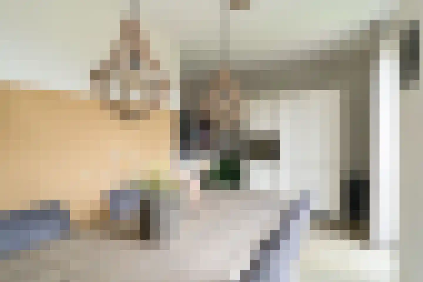 Van Limburg Stirumlaan 4 Barneveld thumbnail 17