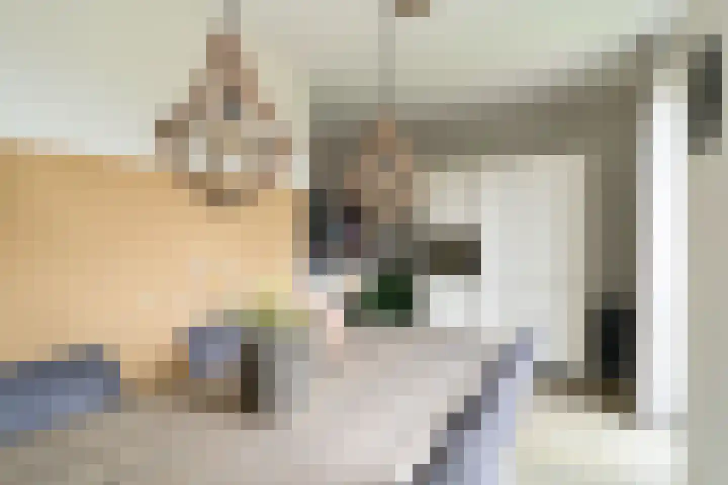 Van Limburg Stirumlaan 4 Barneveld thumbnail 17