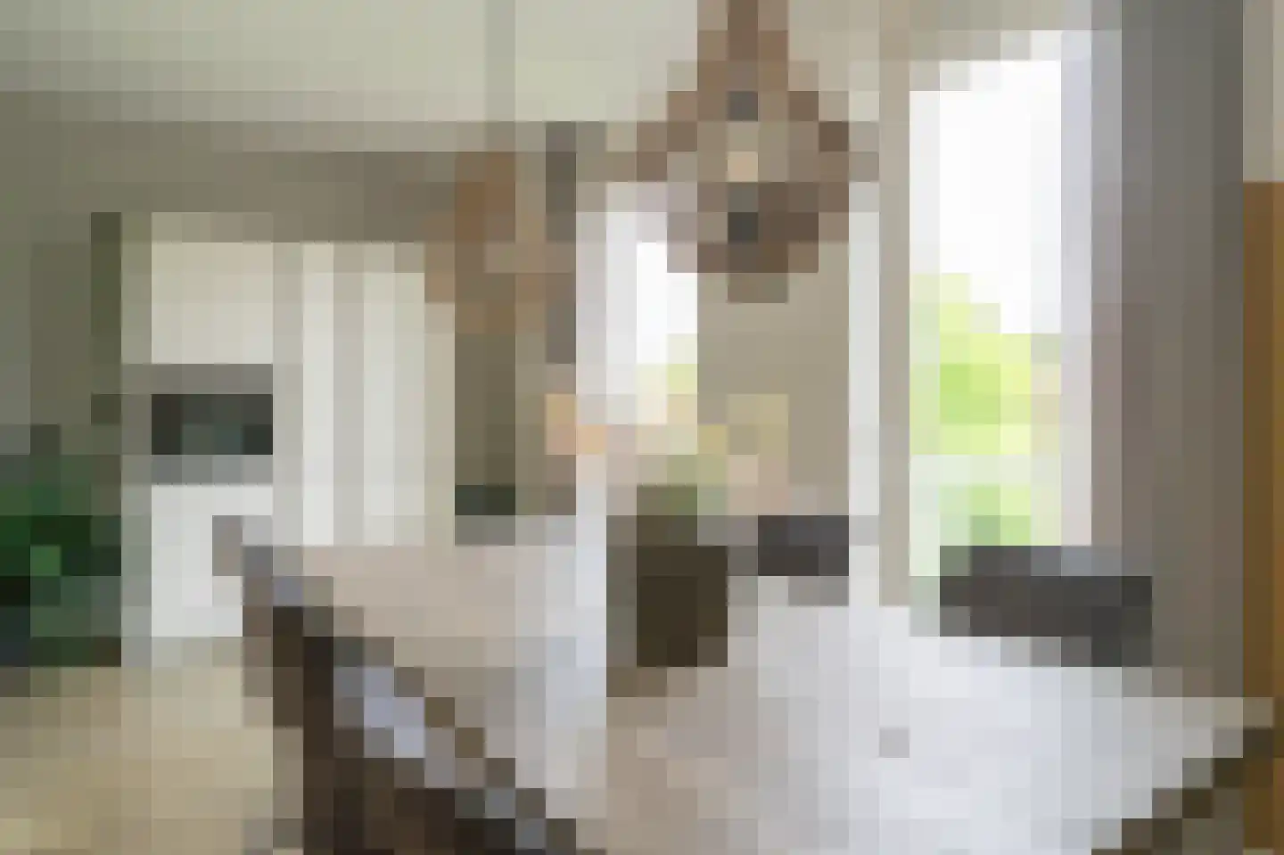 Van Limburg Stirumlaan 4 Barneveld thumbnail 18