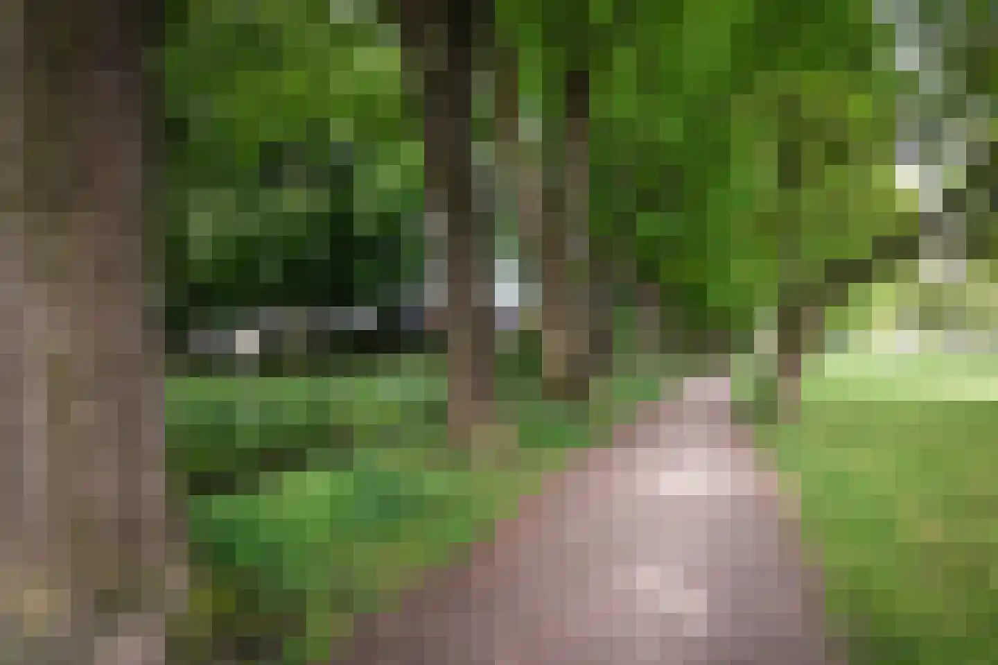 Van Limburg Stirumlaan 4 Barneveld thumbnail 47