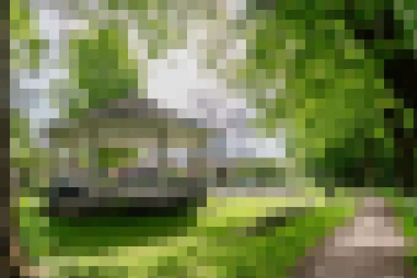 Van Limburg Stirumlaan 4 Barneveld thumbnail 48