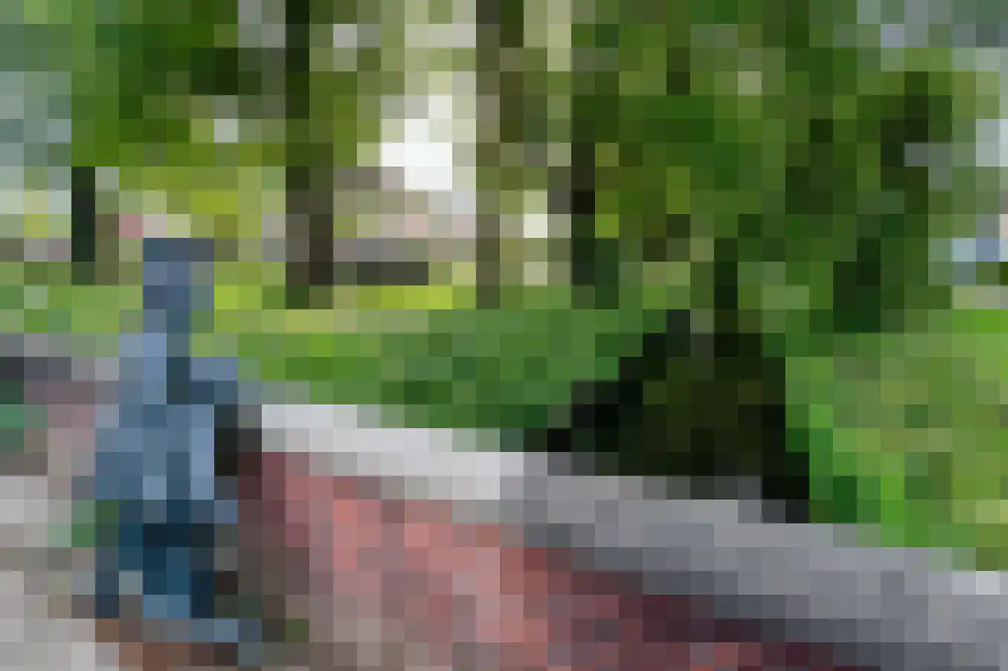 Van Limburg Stirumlaan 4 Barneveld thumbnail 49
