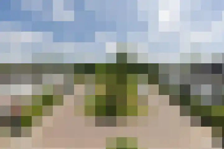van Limburg Stirumlaan 45 Naarden thumbnail 22