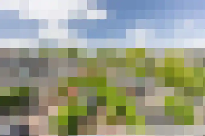 van Limburg Stirumlaan 45 Naarden thumbnail 31