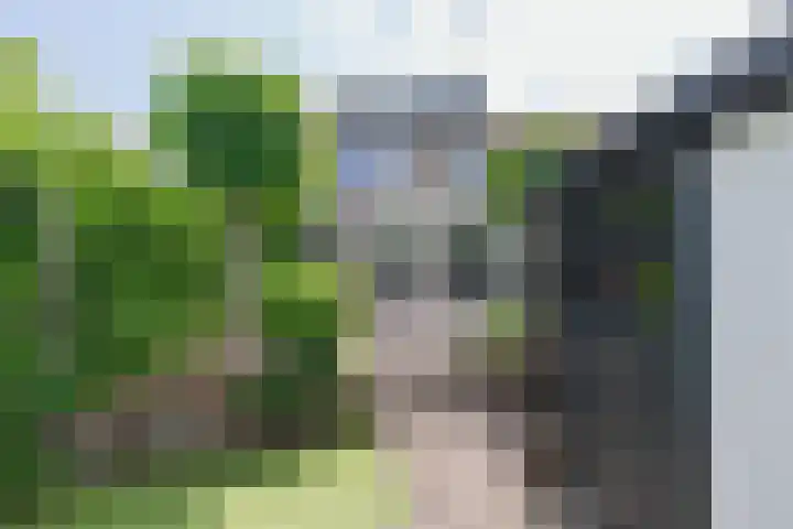 van Limburg Stirumlaan 45 Naarden thumbnail 32