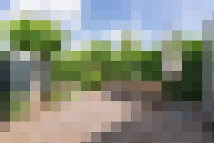 van Limburg Stirumlaan 45 Naarden thumbnail 34