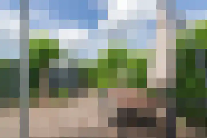 van Limburg Stirumlaan 45 Naarden thumbnail 35