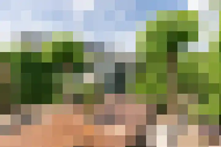 van Limburg Stirumlaan 45 Naarden thumbnail 36