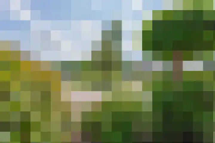 van Limburg Stirumlaan 45 Naarden thumbnail 37
