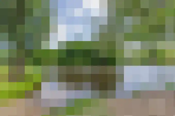 van Limburg Stirumlaan 45 Naarden thumbnail 39