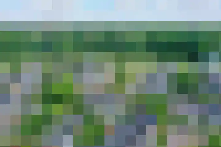 van Limburg Stirumlaan 45 Naarden thumbnail 4