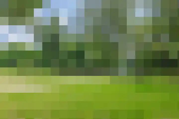 van Limburg Stirumlaan 45 Naarden thumbnail 40