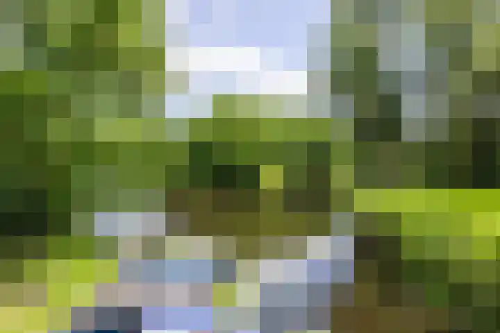 van Limburg Stirumlaan 45 Naarden thumbnail 42