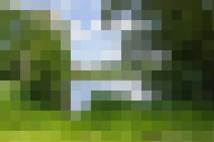van Limburg Stirumlaan 45 Naarden thumbnail 43
