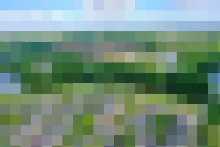 van Limburg Stirumlaan 45 Naarden thumbnail 44