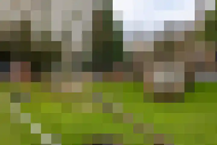 van Limburg Stirumlaan 60 Doetinchem thumbnail 47