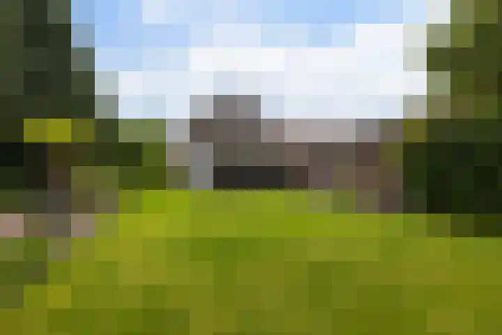 van Limburg Stirumlaan 7 Wezep foto 2