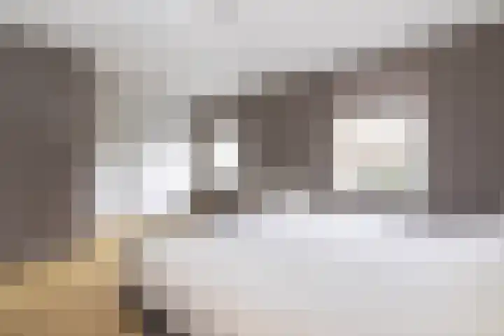 van Limburg Stirumlaan 7 Wezep thumbnail 27