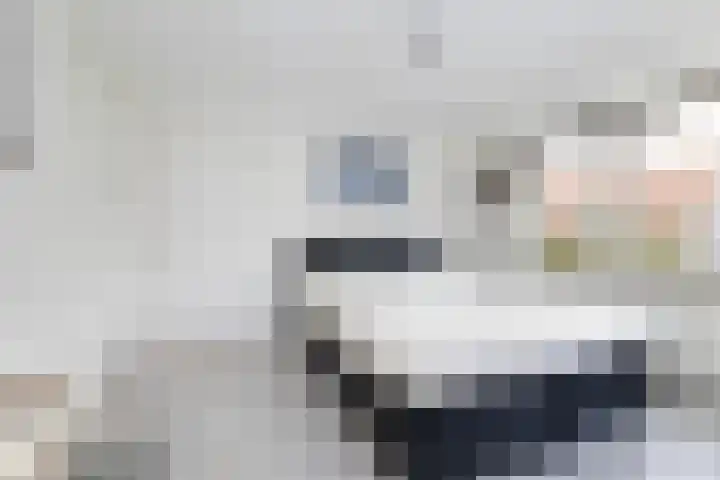 van Limburg Stirumlaan 7 Wezep thumbnail 30