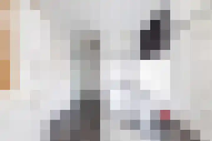van Limburg Stirumlaan 7 Wezep thumbnail 32