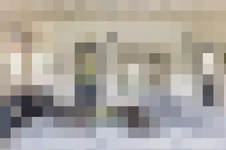 van Limburg Stirumlaan 7 Wezep thumbnail 38