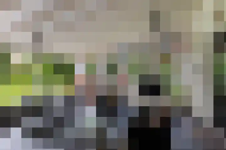 van Limburg Stirumlaan 7 Wezep thumbnail 39