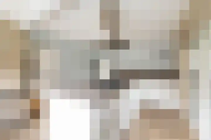 van Limburg Stirumlaan 7 Wezep thumbnail 4