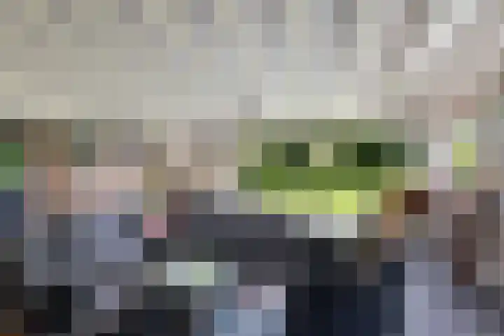 van Limburg Stirumlaan 7 Wezep thumbnail 41