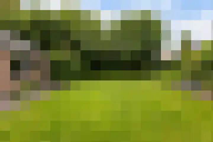 van Limburg Stirumlaan 7 Wezep thumbnail 42