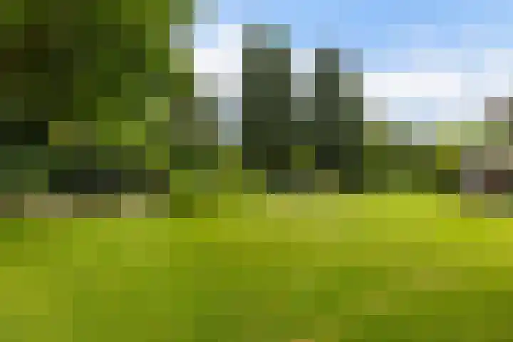 van Limburg Stirumlaan 7 Wezep thumbnail 43