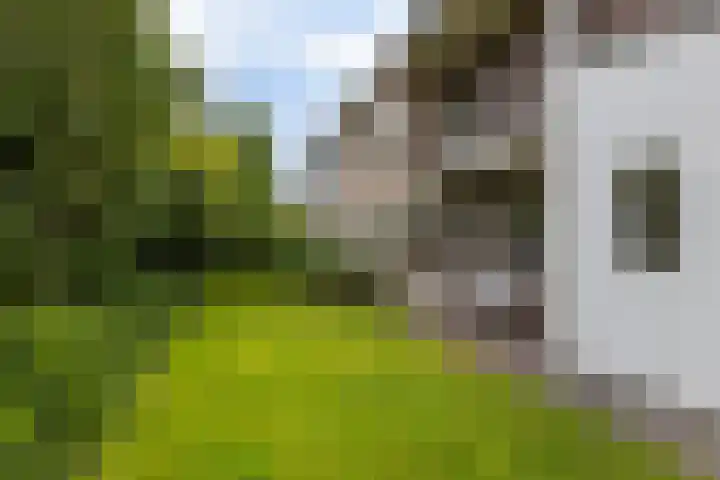 van Limburg Stirumlaan 7 Wezep thumbnail 45