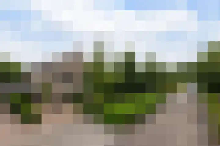 van Limburg Stirumlaan 7 Wezep thumbnail 46