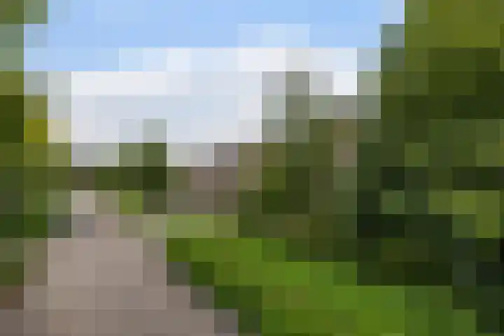 van Limburg Stirumlaan 7 Wezep thumbnail 47
