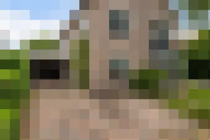 van Limburg Stirumlaan 7 Wezep thumbnail 7