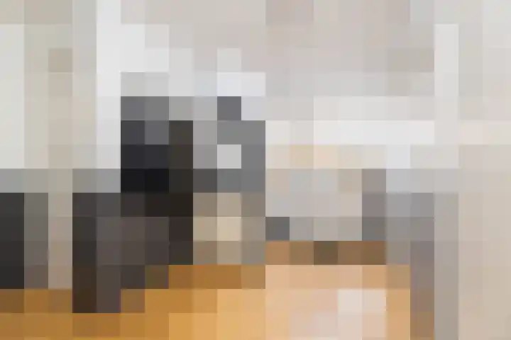 van Limburg Stirumlaan 7 Wezep thumbnail 9